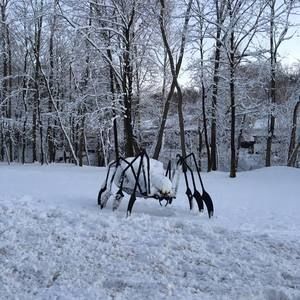 Meet your Posher, Jacky